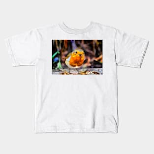 Robin Kids T-Shirt